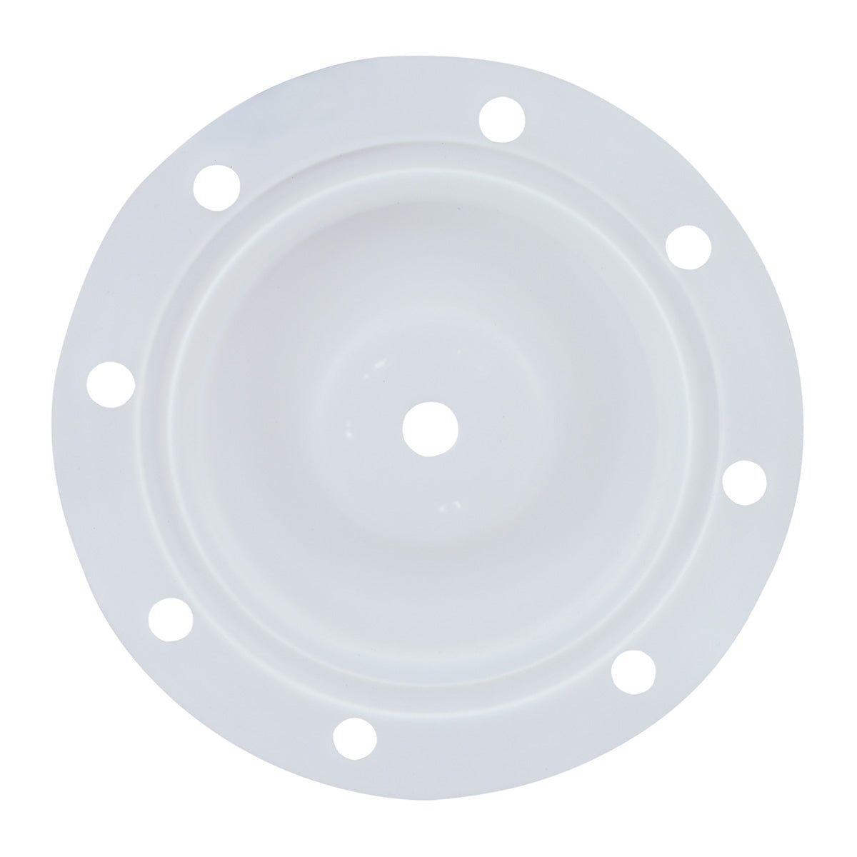 PTFE DIAPHRAGM 2" BSK