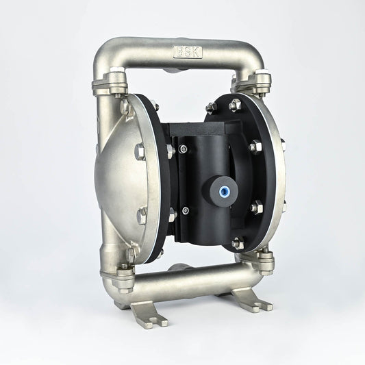 AODD PUMP 1" SS BODY PTFE DIAPHRAGM BSK